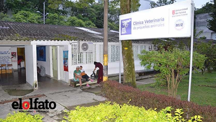 Clínica de Pequeños Animales, pensada para el bienestar de las mascotas de Ibagué Clínica de Pequeños Animales, pensada para el bienestar de las mascotas de Ibagué