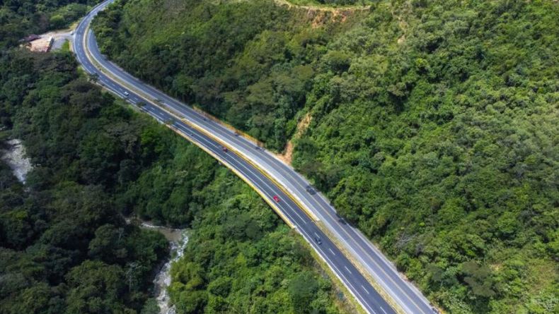 Condenado por arrollar a un ‘paletero’ en la vía Ibagué – Cajamarca Condenado por arrollar a un ‘paletero’ en la vía Ibagué – Cajamarca