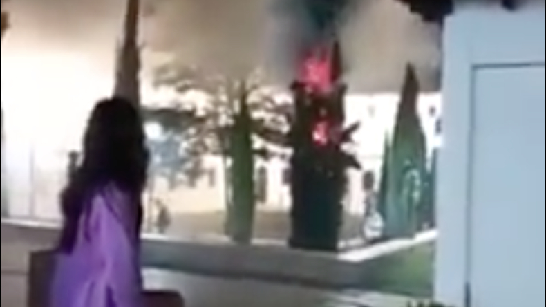 ¡El colmo! Le metieron candela a un pino del Panóptico de Ibagué ¡El colmo! Le metieron candela a un pino del Panóptico de Ibagué