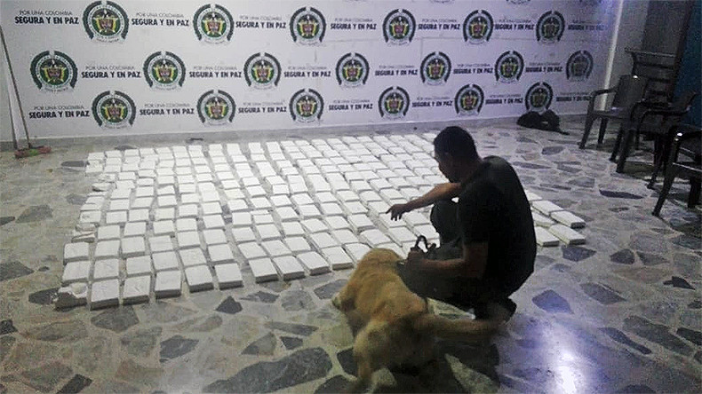 Capturado hombre que transportaba 246 paquetes de cocaína en Ibagué