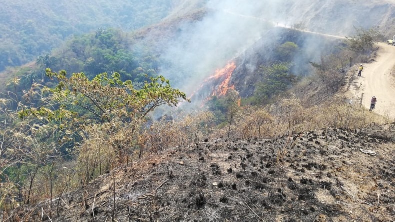 Incendios en el Tolima han consumido más de 250 hectáreas en lo corrido de enero