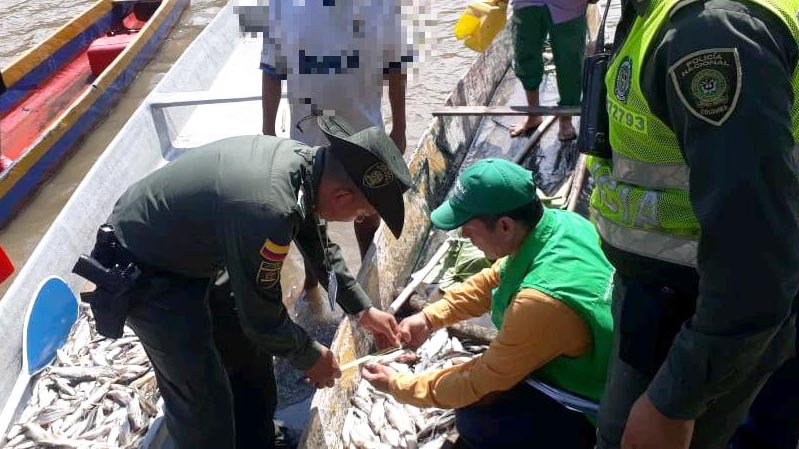 Por no cumplir con las normas ambientales la Policía del Tolima incautó 15 kilos de pescado en Honda Por no cumplir con las normas ambientales la Policía del Tolima incautó 15 kilos de pescado en Honda