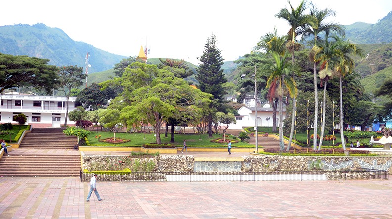 Alcalde de Planadas confirma primer caso de COVID-19 en su municipio Alcalde de Planadas confirma primer caso de COVID-19 en su municipio