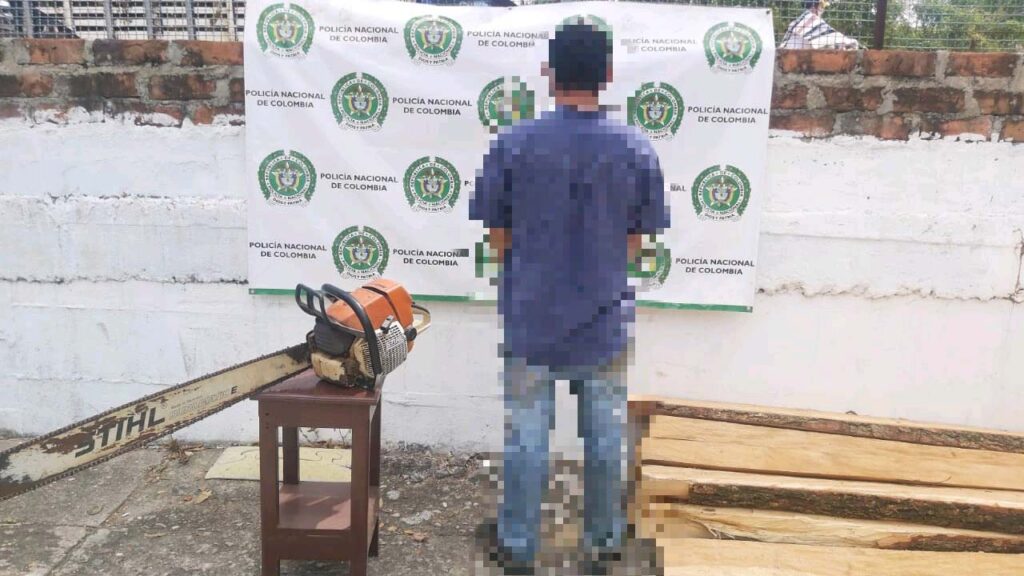 Policía capturó hombre que talaba árboles en zona boscosa de Saldaña Policía capturó hombre que talaba árboles en zona boscosa de Saldaña