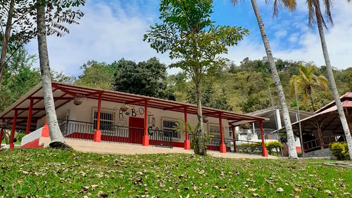 Primer colegio privado de Ibagué regresa a clases presenciales Primer colegio privado de Ibagué regresa a clases presenciales