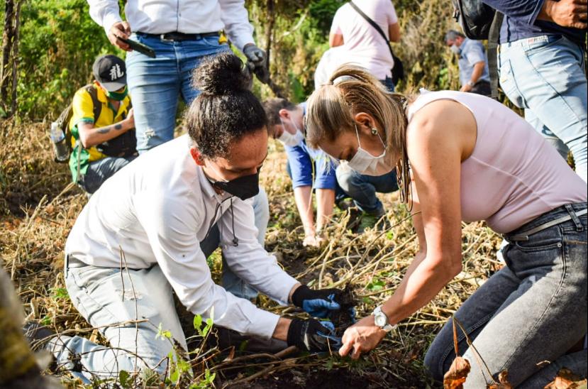 Banco de germoplasma para la restauración ecológica en el bosque seco tropical en el Tolima