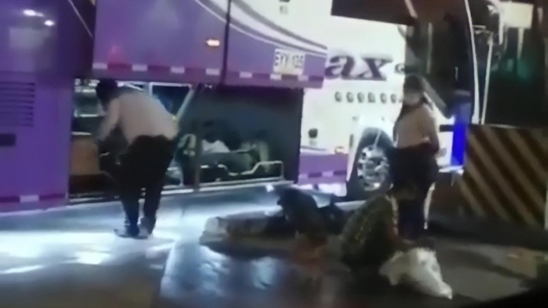 Pliego de cargos a Velotax por presunto maltrato animal en bus que cubría la ruta Pereira – Ibagué