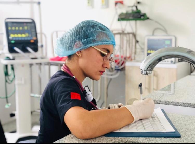 Caninos y felinos tienen una posibilidad de vida en la UCI del Hospital Veterinario de la UT Caninos y felinos tienen una posibilidad de vida en la UCI del Hospital Veterinario de la UT
