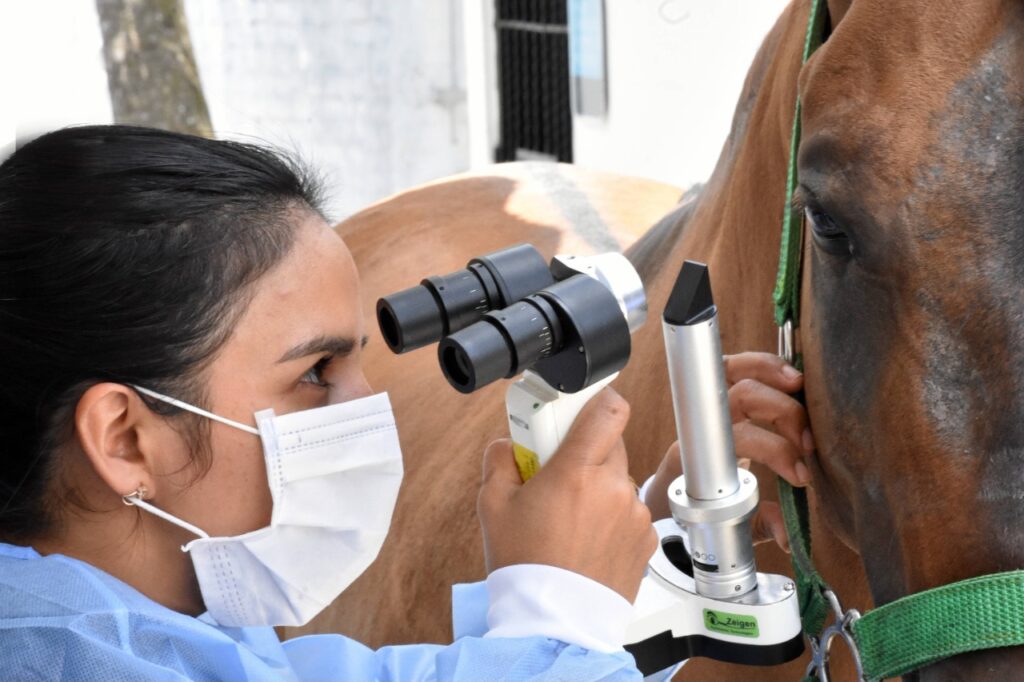 ¿Su mascota requiere atención oftalmológica? En la Clínica Veterinaria de la U. Cooperativa se la brindan ¿Su mascota requiere atención oftalmológica? En la Clínica Veterinaria de la U. Cooperativa se la brindan