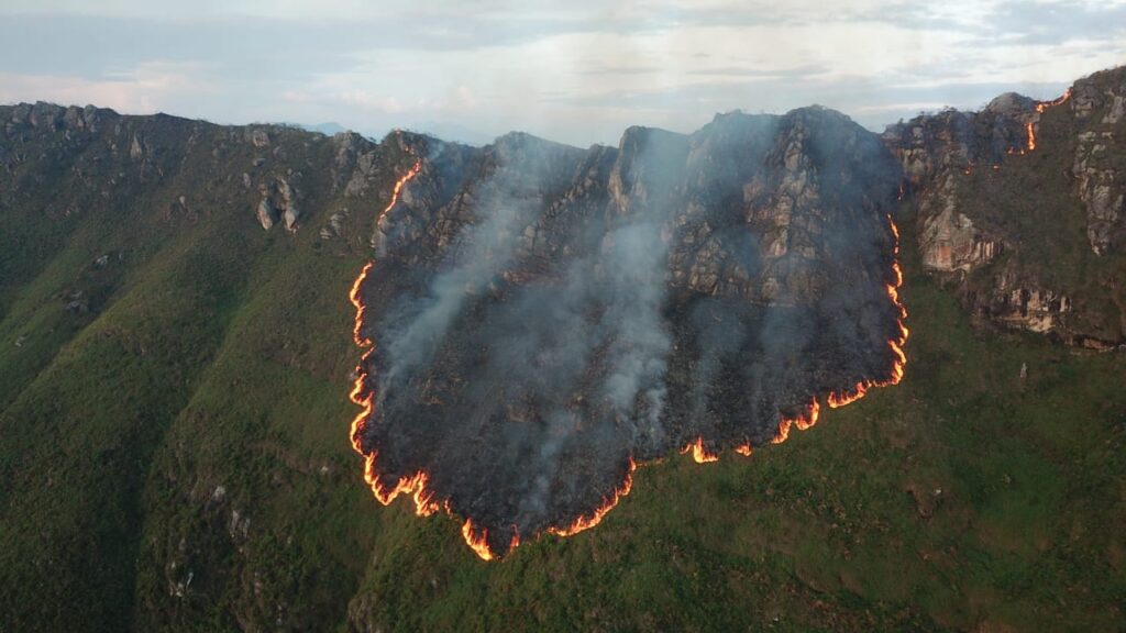 Cerca de 200 hectáreas de vegetación afectadas por incendio forestal en Melgar Cerca de 200 hectáreas de vegetación afectadas por incendio forestal en Melgar