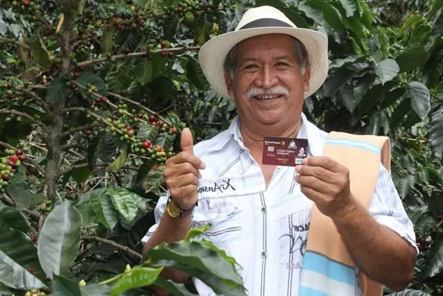 Caficultores deben actualizar cédulas inteligentes para mantener beneficios Caficultores deben actualizar cédulas inteligentes para mantener beneficios