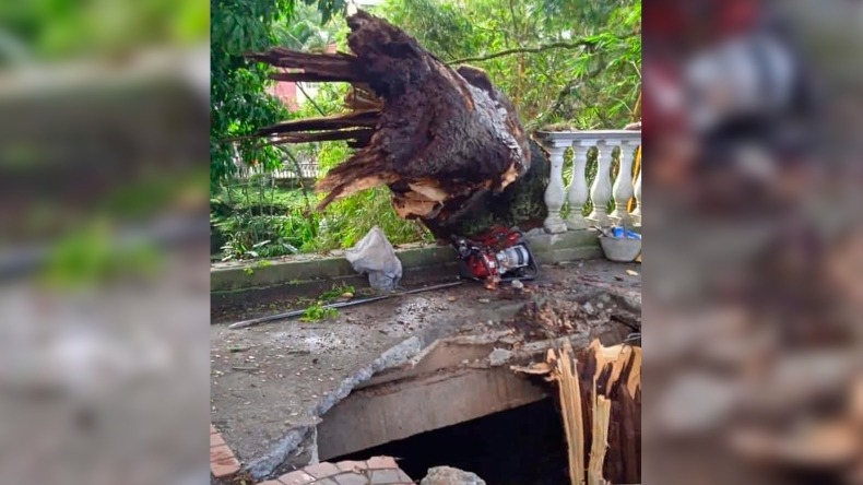 Una foto y varios testigos serían claves para probar presunta negligencia del contratista de Cortolima en la muerte de Felipe Góngora Una foto y varios testigos serían claves para probar presunta negligencia del contratista de Cortolima en la muerte de Felipe Góngora