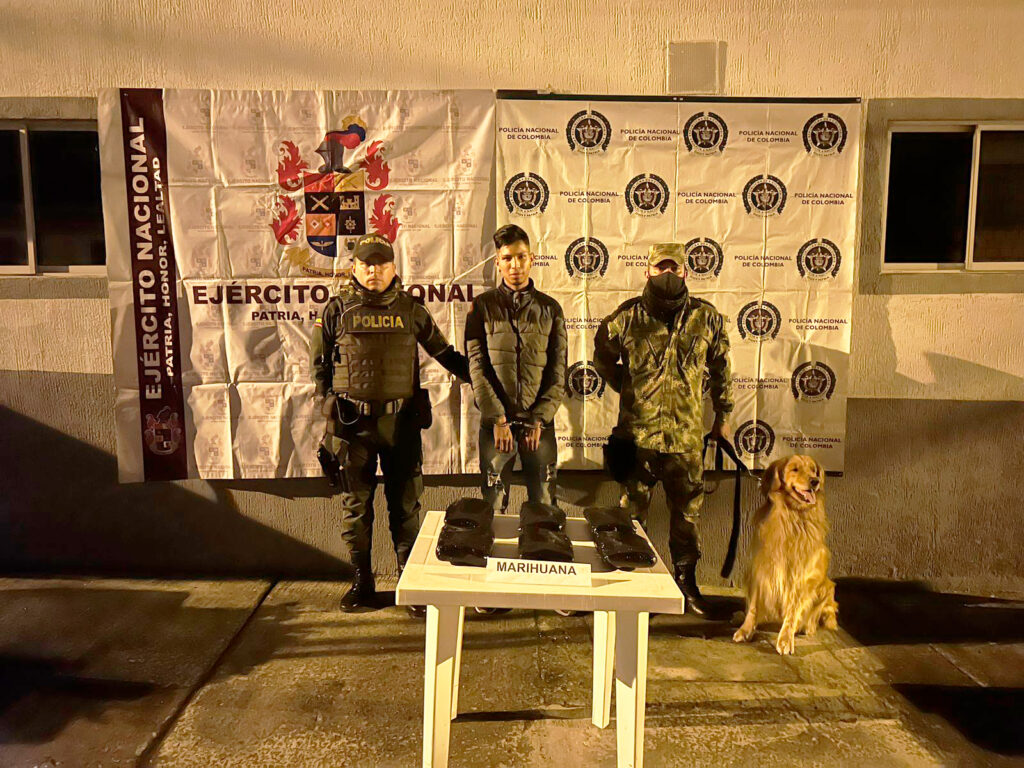 Más de 3.000 dosis de marihuana fueron incautadas en vías del Tolima Más de 3.000 dosis de marihuana fueron incautadas en vías del Tolima