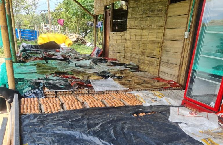 Recuperaron millonario cargamento de huevos que había sido hurtado en la vía Doima – Buenos Aires Recuperaron millonario cargamento de huevos que había sido hurtado en la vía Doima – Buenos Aires