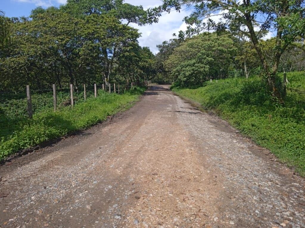 Aprobaron más de $28.000 millones para el mejoramiento de la vía Prado – Dolores – Alpujarra