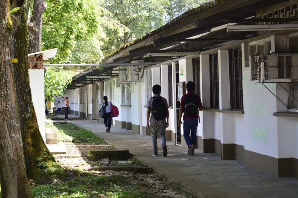 ¿Jóvenes no quieren estudiar? Es bajo el número de inscritos para ingresar a la Universidad del Tolima