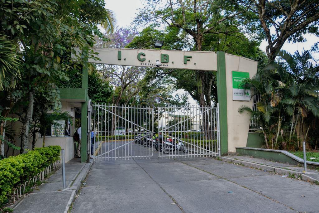 ICBF indagará caso del niño que tomó una pieza expositiva del Panóptico en Ibagué ICBF indagará caso del niño que tomó una pieza expositiva del Panóptico en Ibagué