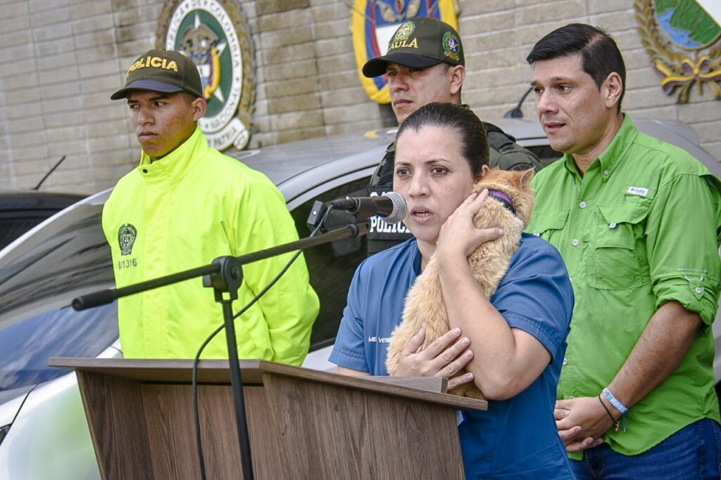 Greta, la gata que fue raptada, volvió a las manos de propietaria Greta, la gata que fue raptada, volvió a las manos de propietaria