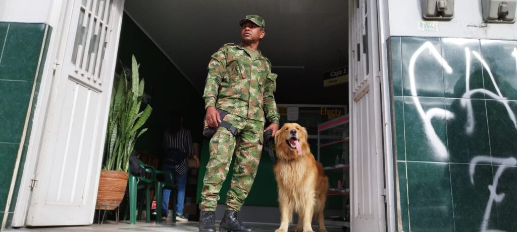Killer: el perro antinarcóticos del Tolima que se encuentra bajo amenaza de muerte Killer: el perro antinarcóticos del Tolima que se encuentra bajo amenaza de muerte