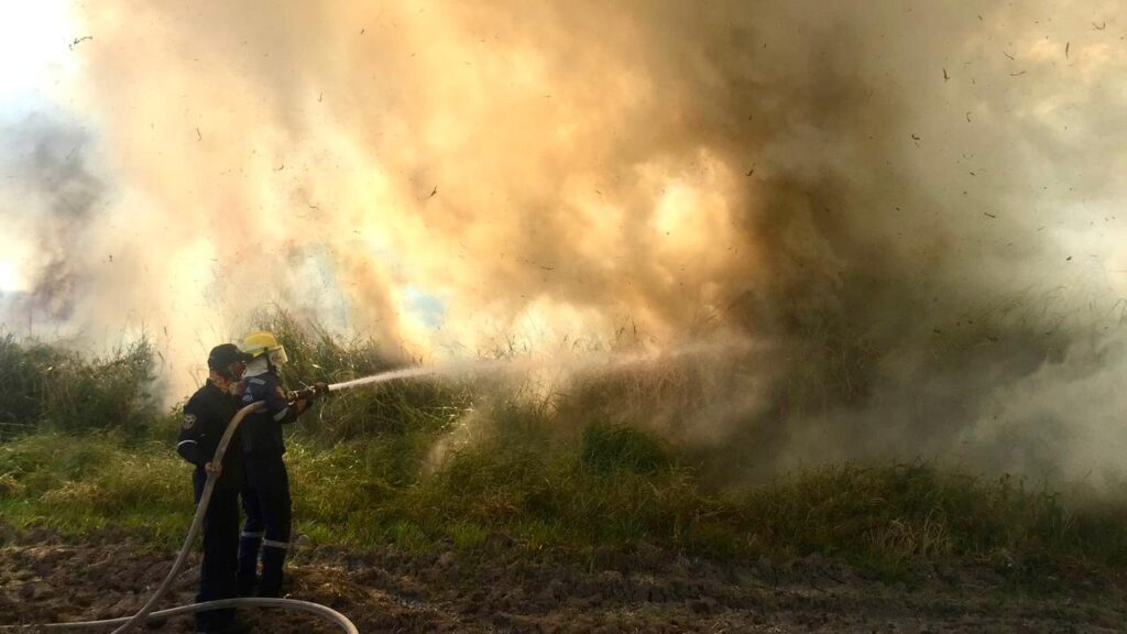 Declarada alerta amarilla en el Tolima por incendios forestales Declarada alerta amarilla en el Tolima por incendios forestales