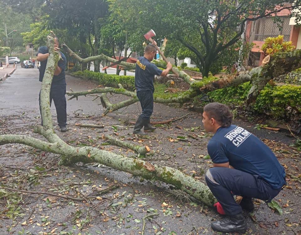 Reportan caída de árboles e incendio vehicular en Ibagué