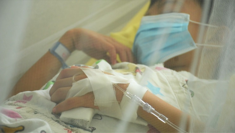 Conozca los alimentos que le pueden ayudar a recuperarse luego de sufrir dengue Conozca los alimentos que le pueden ayudar a recuperarse luego de sufrir dengue