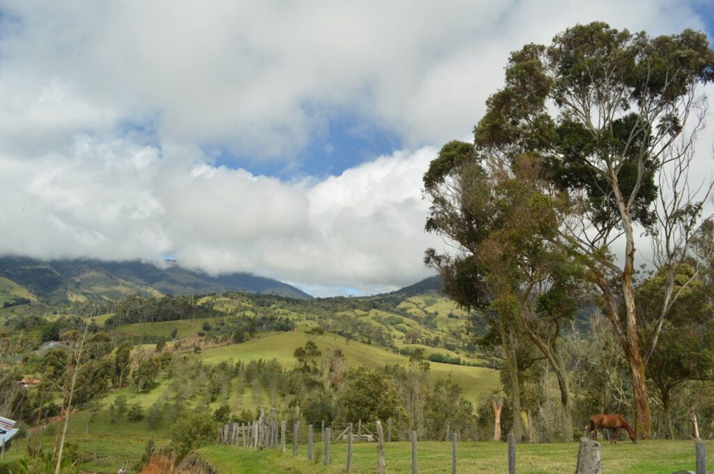 Declaran calamidad pública en Roncesvalles por el fenómeno de El Niño
