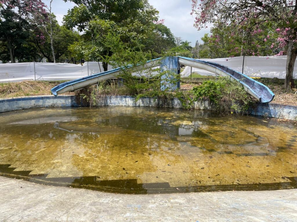 En piscinas del Parque Deportivo de Ibagué proliferan los zancudos