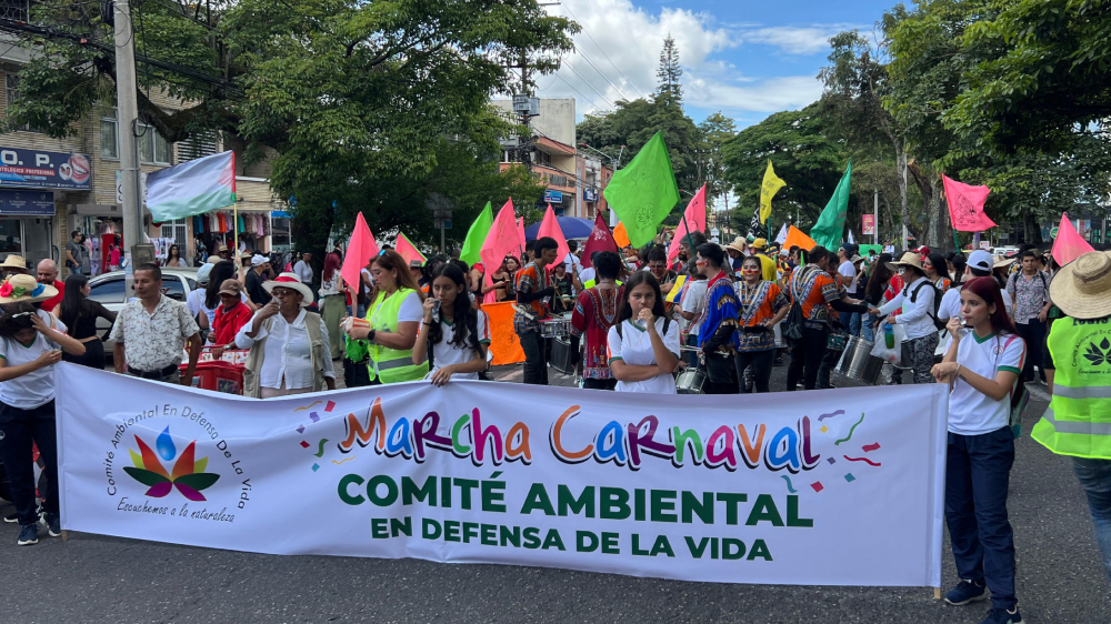 Avanza la marcha carnaval por la carrera Quinta de Ibagué Avanza la marcha carnaval por la carrera Quinta de Ibagué