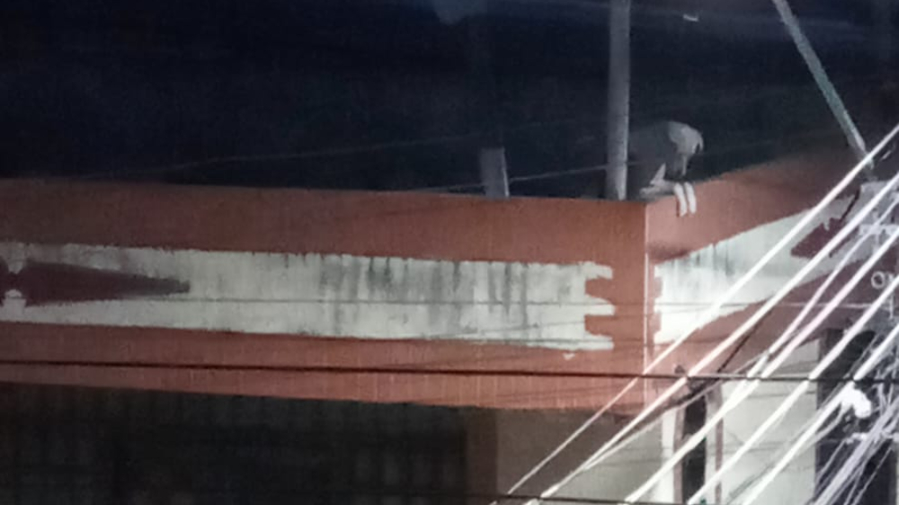 Familia se marchó de una casa en Ibagué y habría dejado sus perros abandonados Familia se marchó de una casa en Ibagué y habría dejado sus perros abandonados