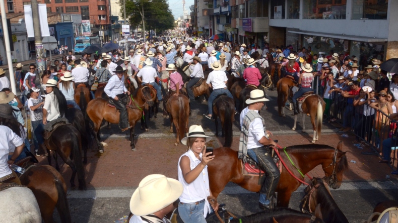 Así fue el proceso para la suspensión de las cabalgatas en Ibagué Así fue el proceso para la suspensión de las cabalgatas en Ibagué