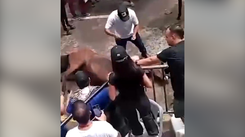 Denuncian maltrato de caballos en las fiestas de Neiva Denuncian maltrato de caballos en las fiestas de Neiva