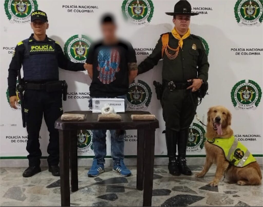 Incautan marihuana y drogas sintéticas en la Terminal de Transportes de Ibagué