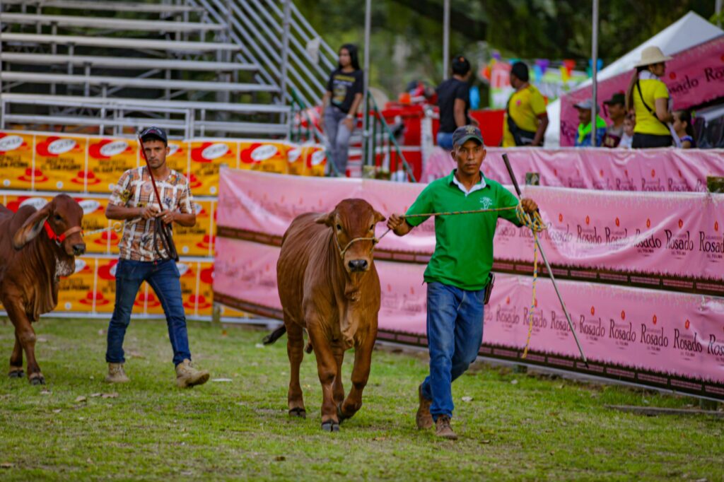 Tres días para disfrutar de la Feria Agropecuaria de Ibagué