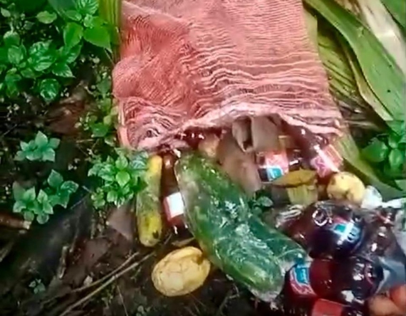 “Hemos convertido al Cañón del Combeima en el nuevo basurero de Ibagué”: ciudadano