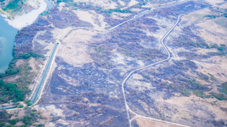 Incendios forestales en el Tolima han consumido el 25% del bosque seco Incendios forestales en el Tolima han consumido el 25% del bosque seco
