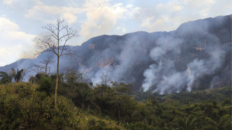 Incendio forestal en Purificación lleva cinco días sin poder ser controlado