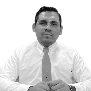 Luis Felipe Aranzalez Bravo