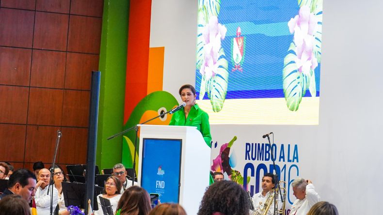 “El Tolima enfrenta incendios devastadores a causa de fenómenos climáticos”: Adriana Matiz “El Tolima enfrenta incendios devastadores a causa de fenómenos climáticos”: Adriana Matiz