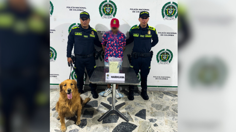 Canina encontró marihuana en la maleta de un viajero en el terminal de Ibagué