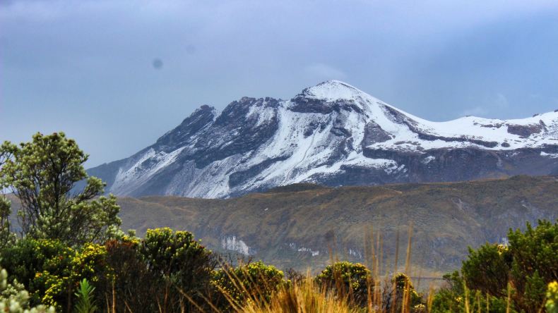 Tribunal de Ibagué citó audiencia de seguimiento del PNN Los Nevados