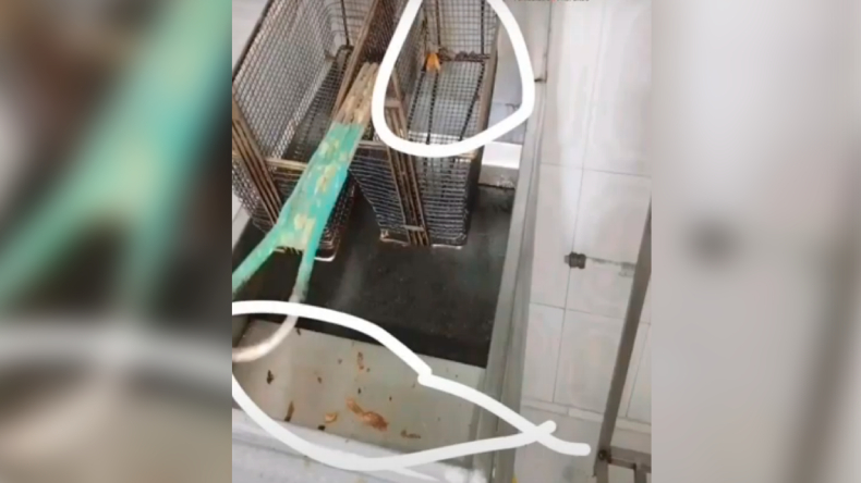 Denuncian presuntas deficiencias sanitarias en el asadero Doraditos y Sazón Denuncian presuntas deficiencias sanitarias en el asadero Doraditos y Sazón