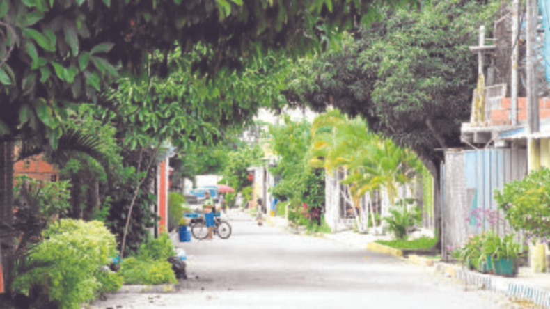 En Ibagué, hombre perdió uno de sus ojos tras ser agredido en su propia casa