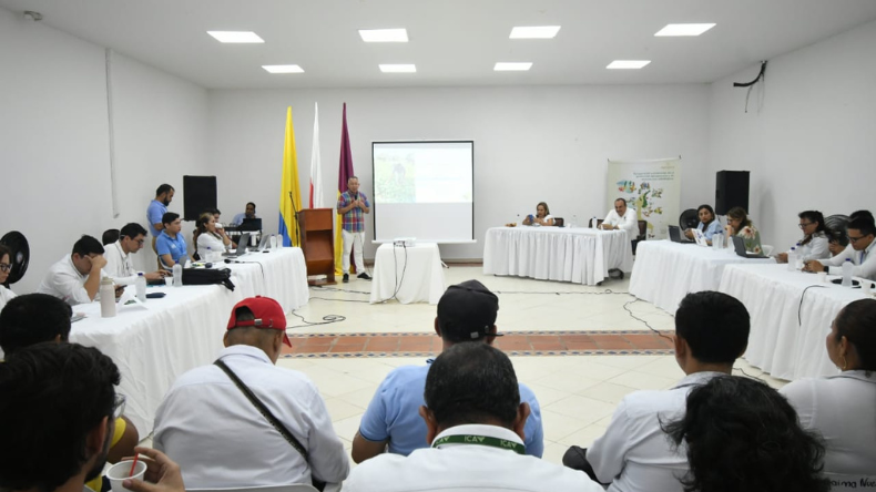 Implementaron plan de acción que busca reducir los impactos de los incendios en el sur del Tolima Implementaron plan de acción que busca reducir los impactos de los incendios en el sur del Tolima
