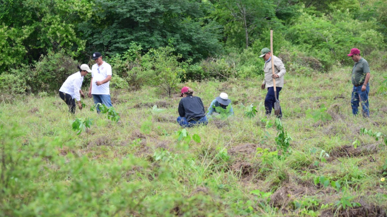 Iniciaron restauración de bosques afectados por incendios en Natagaima Iniciaron restauración de bosques afectados por incendios en Natagaima