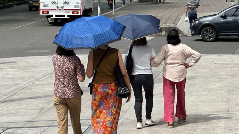 El Tolima avanza en acciones contra el cambio climático El Tolima avanza en acciones contra el cambio climático