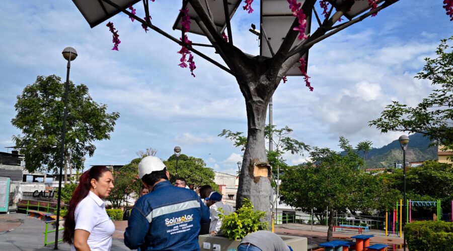 Realizan mantenimiento a los ‘árboles solares’ de Ibagué Realizan mantenimiento a los ‘árboles solares’ de Ibagué