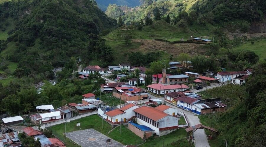 Este fin de semana hay fiestas en Toche, nuestra reserva de Palma de Cera