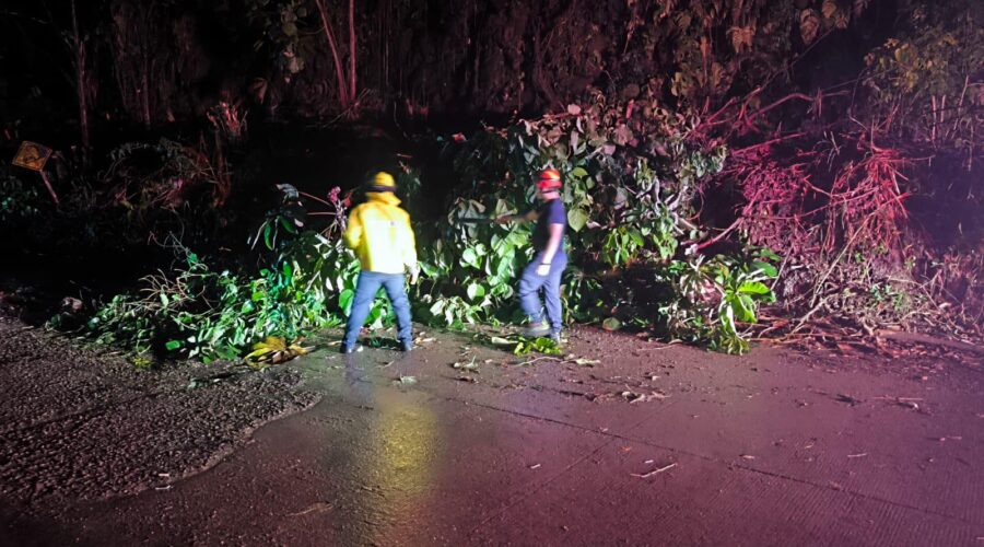 Inundaciones y caída de árboles dejó aguacero en Ibagué Inundaciones y caída de árboles dejó aguacero en Ibagué