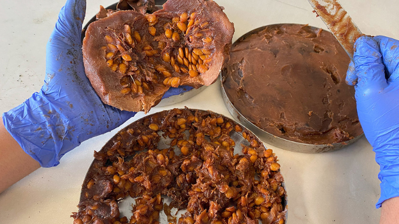 Borojó: el superalimento del Chocó que podría combatir infecciones Borojó: el superalimento del Chocó que podría combatir infecciones